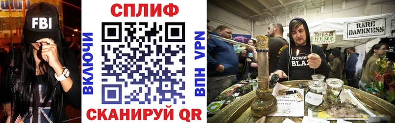 Гашиш Жиздра